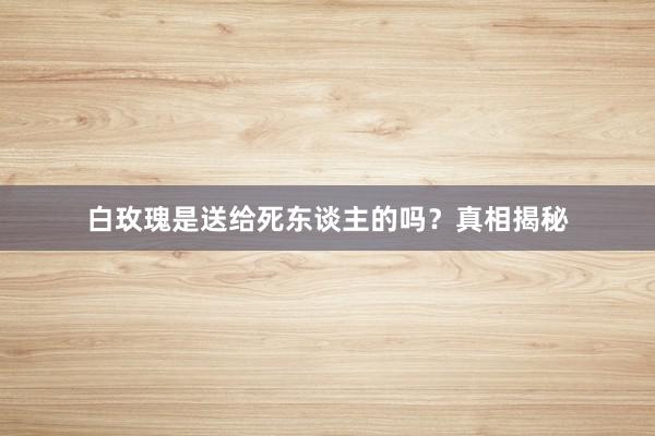 白玫瑰是送给死东谈主的吗？真相揭秘