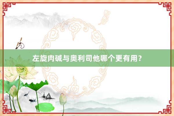 左旋肉碱与奥利司他哪个更有用？